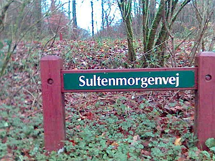 sultenmorgenvej